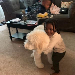 Meet your Posher, Medy